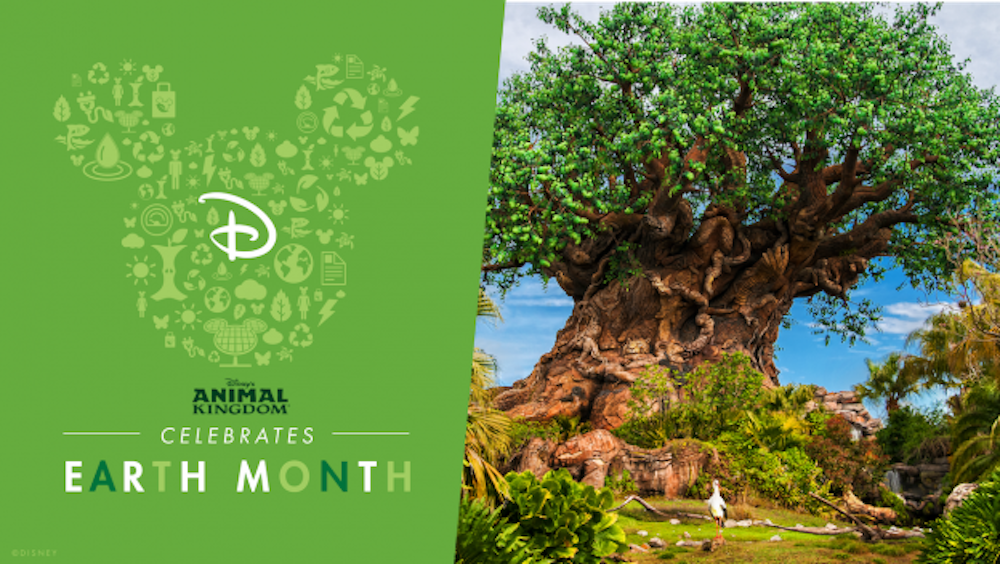 Earth Month Celebrations at Disney’s Animal Kingdom Theme Park Featured Image